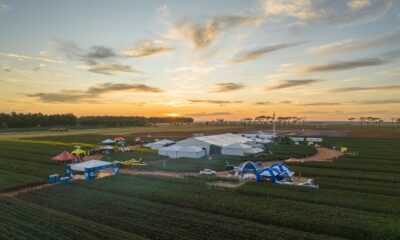 Soluções para grandes desafios do algodão serão destaque no G.A.Tec 2025