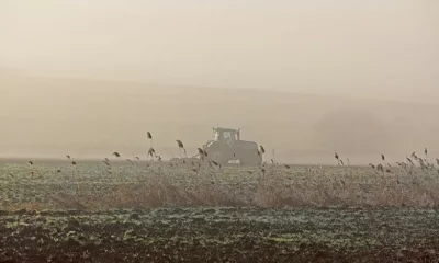 Graxa de complexo de lítio: conheça solução que otimiza a manutenção preventiva de maquinário agrícola para o inverno