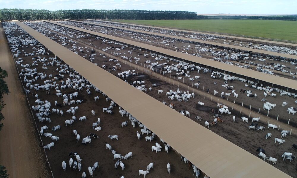 Confinamento MFG Baixa 3 - UNIDADE CAMPO VERDE - MT