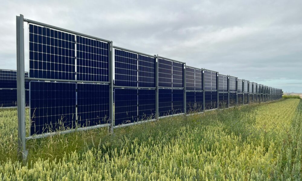 Cientistas brasileiros realizam missão na Alemanha, com foco em novas tecnologias que podem ser aplicadas na agricultura nacional