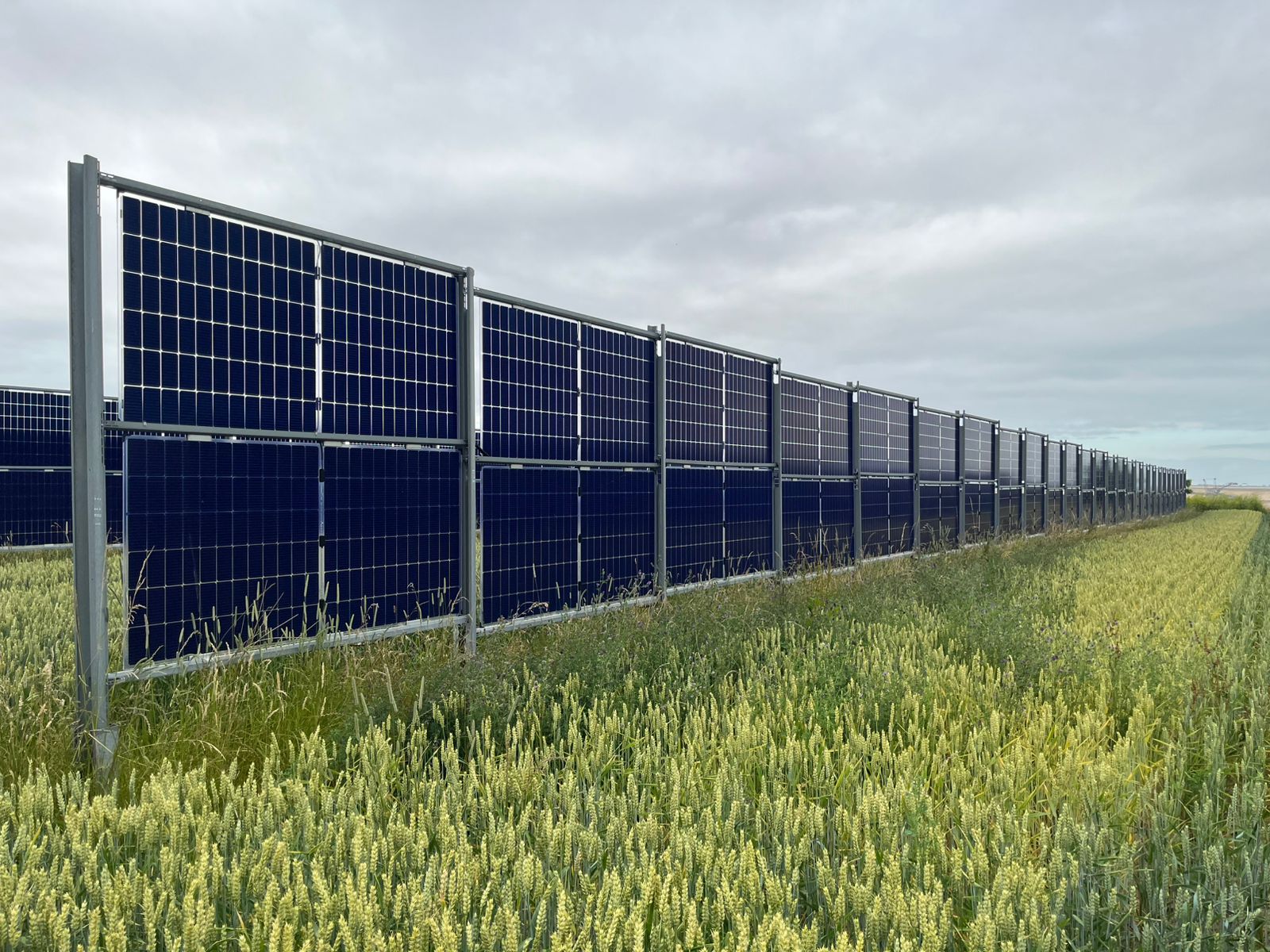 Cientistas brasileiros realizam missão na Alemanha, com foco em novas tecnologias que podem ser aplicadas na agricultura nacional