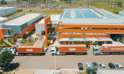 Pioneiros em soluções agroindustriais, o grupo Multibelt celebra 37 anos de história!