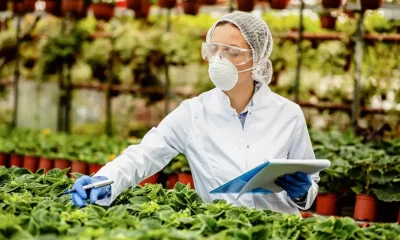 Empresas do agro se unem para desenvolver soluções biológicas para nutrição vegetal