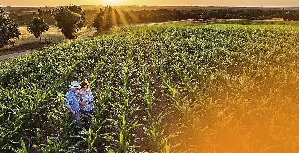 setor agro brasileiro