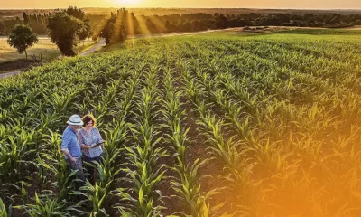 setor agro brasileiro