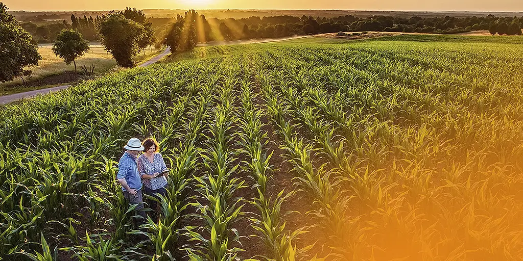 setor agro brasileiro