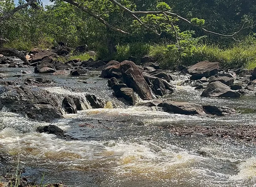 Riacho Seco, monitorado pela empresa, é um dos afluentes do rio Sauípe (foto)/ Crédito: Gleison Rezende/ Acervo Bracell