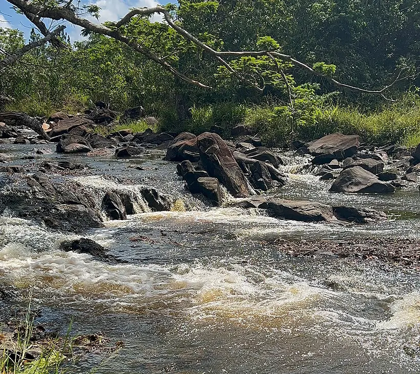 Riacho Seco, monitorado pela empresa, é um dos afluentes do rio Sauípe (foto)/ Crédito: Gleison Rezende/ Acervo Bracell