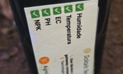 IA leva inovação das grandes fazendas para o pequeno produtor