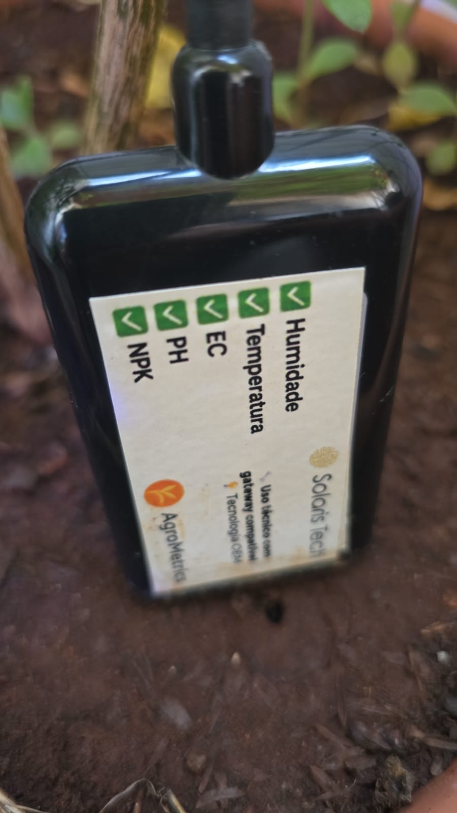 IA leva inovação das grandes fazendas para o pequeno produtor