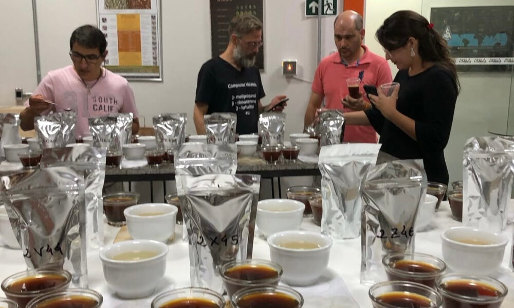 MAIOR COMPETIÇÃO DE TORRA DO MUNDO ENTRA EM FASE ELIMINATÓRIA