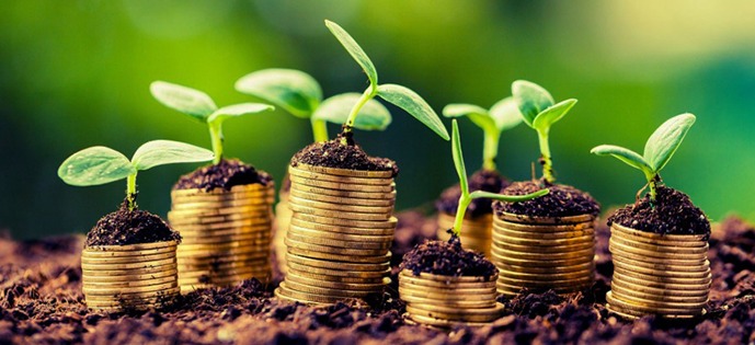 Especialistas debatem futuro do amendoim brasileiro e sua competitividade no mercado global