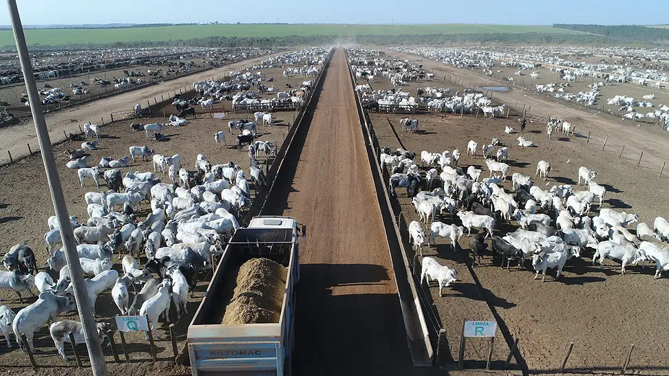 Parcerias de engorda consolidam confinamento como extensão das fazendas de cria e recria no Brasil