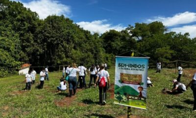 Fazenda Bom Retiro | Pedregulho -SP | 2025 (Divulgação)