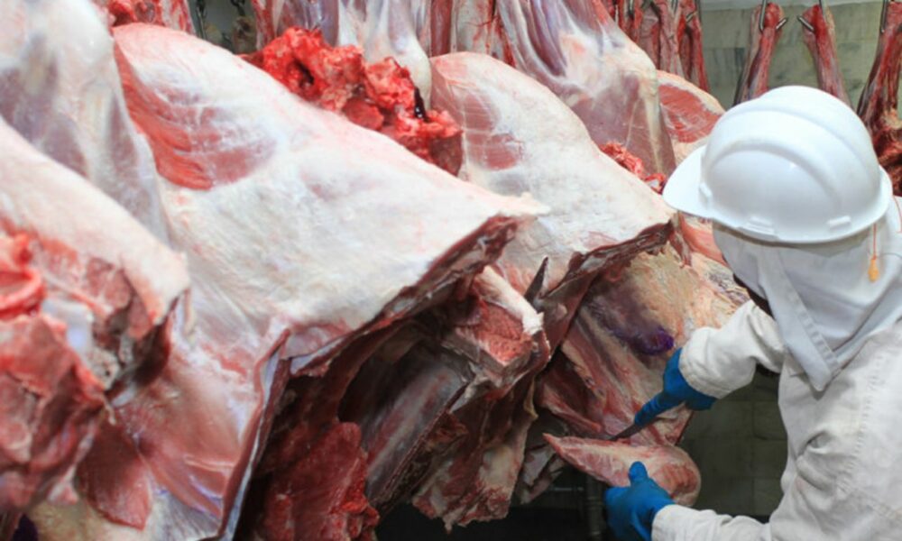 Exportações de carne de MT crescem 67% no 3º trimestre de 2025 e devem superar recorde de 2024