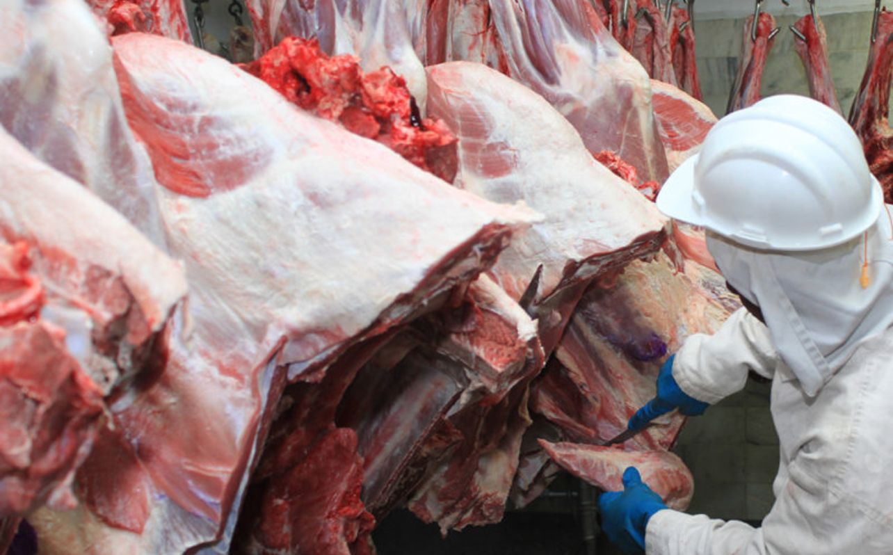 Exportações de carne de MT crescem 67% no 3º trimestre de 2025 e devem superar recorde de 2024