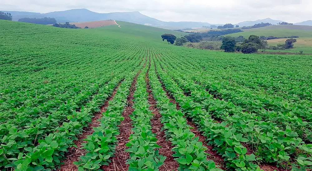 PI AgSciences traz inovação e sustentabilidade para a Exposoja 2026