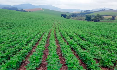 PI AgSciences traz inovação e sustentabilidade para a Exposoja 2026