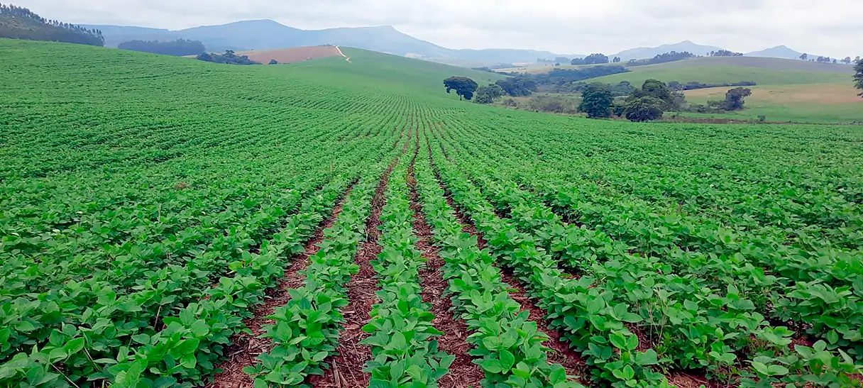 PI AgSciences traz inovação e sustentabilidade para a Exposoja 2026