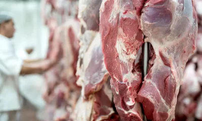 China endurece regras para carne bovina: cotas e sobretaxa de 55% acendem alerta para o agro e para o caixa das empresas