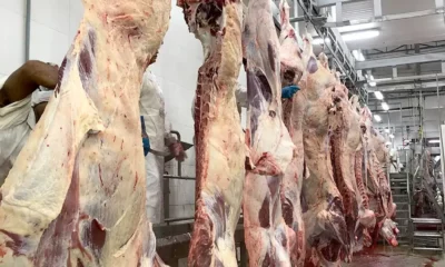Exportações de carnes de MT cresceram 43,12% e ultrapassaram US$ 3,8 bilhões em 2025