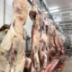 Exportações de carnes de MT cresceram 43,12% e ultrapassaram US$ 3,8 bilhões em 2025