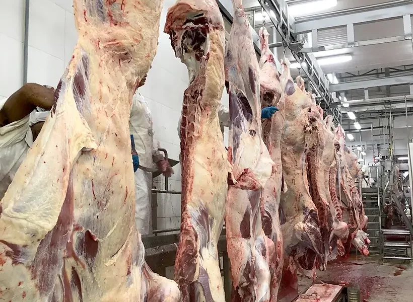 Exportações de carnes de MT cresceram 43,12% e ultrapassaram US$ 3,8 bilhões em 2025