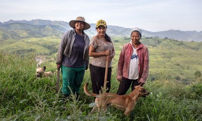 Imagem: divulgação