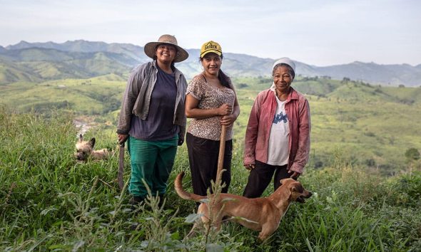 Imagem: divulgação