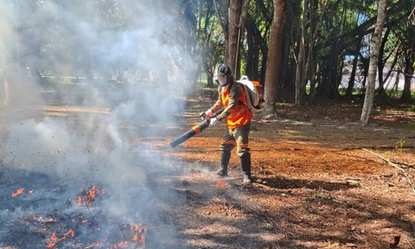 Foto: Acervo Bracell