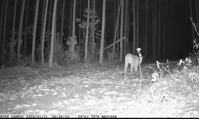 Foto: Acervo Bracell