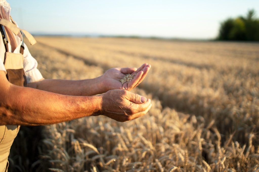 Recuperação judicial é alternativa estratégica para o produtor rural reorganizar suas dívidas