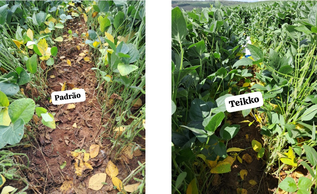 PI AgSciences estreia na Feira de Inovações SCV com soluções disruptivas para tratamento de sementes