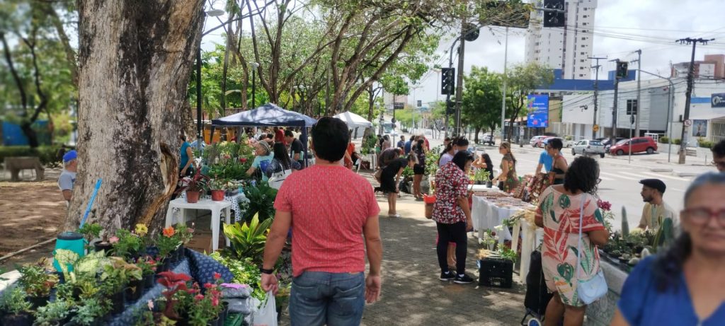 1ª Feira de Plantas da Parangaba celebra o Dia da Mulher com programação gratuita e incentivo ao pequeno produtor