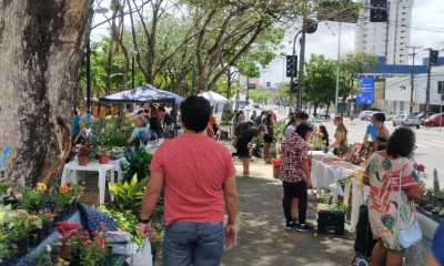 1ª Feira de Plantas da Parangaba celebra o Dia da Mulher com programação gratuita e incentivo ao pequeno produtor
