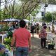1ª Feira de Plantas da Parangaba celebra o Dia da Mulher com programação gratuita e incentivo ao pequeno produtor