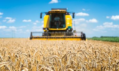 Pedidos de recuperação judicial no Brasil batem recorde em 2025 e acendem alerta para empresas e agronegócio